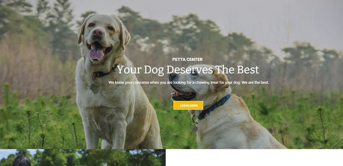 Petta pet daycare homepage with a Your Dog Deserves The Best hero and a Labrador