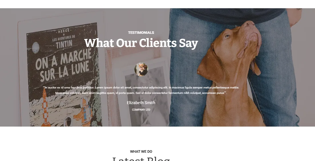 Petta What Our Clients Say testimonial section