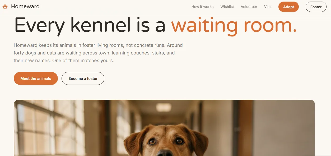 Homeward animal shelter homepage with an Every kennel is a waiting room hero