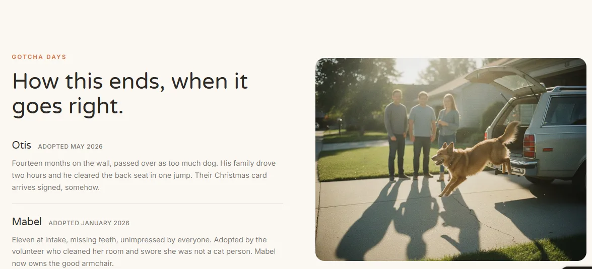 Homeward adoption success stories with a photo of a family and their adopted dog