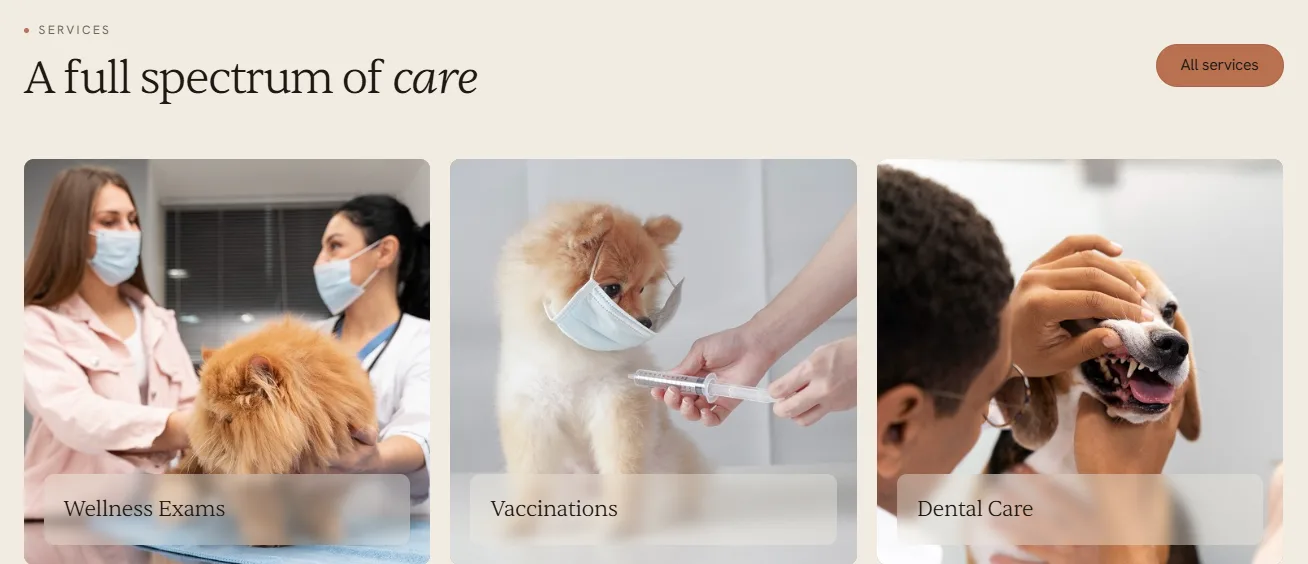 Pawora services section showing wellness exams, vaccinations and dental care