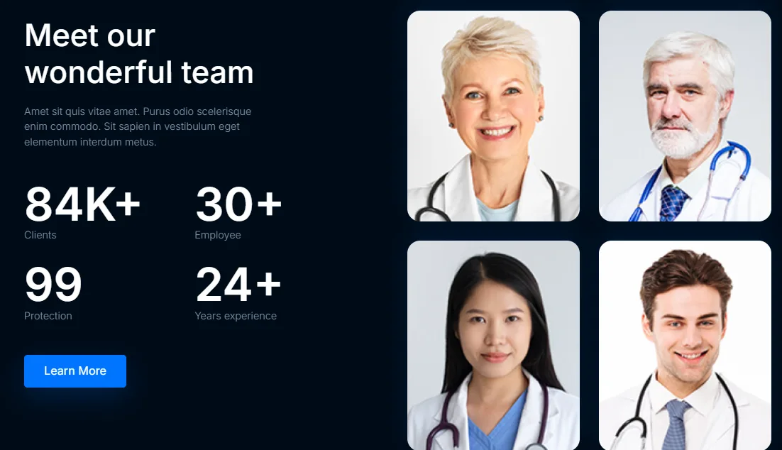 Petcare Meet our wonderful team section with veterinarian photos and clinic statistics