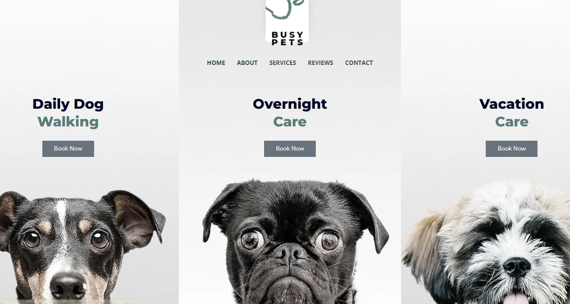Busy Pets homepage with daily dog walking, overnight care and vacation care booking panels