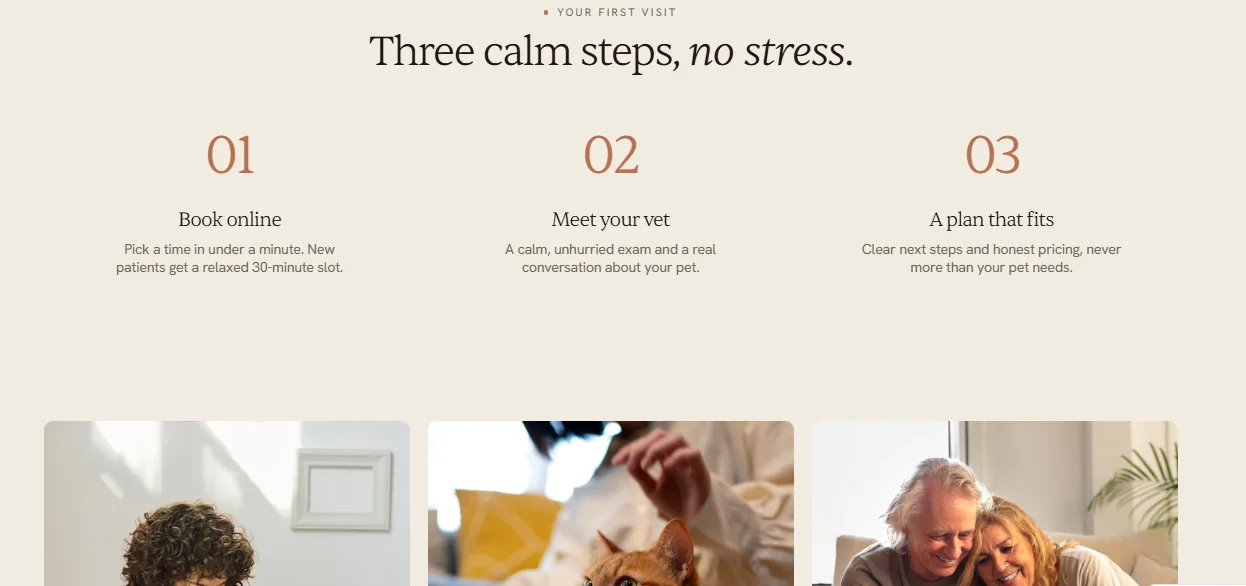 Pawora three-step first visit section: book online, meet your vet and a care plan