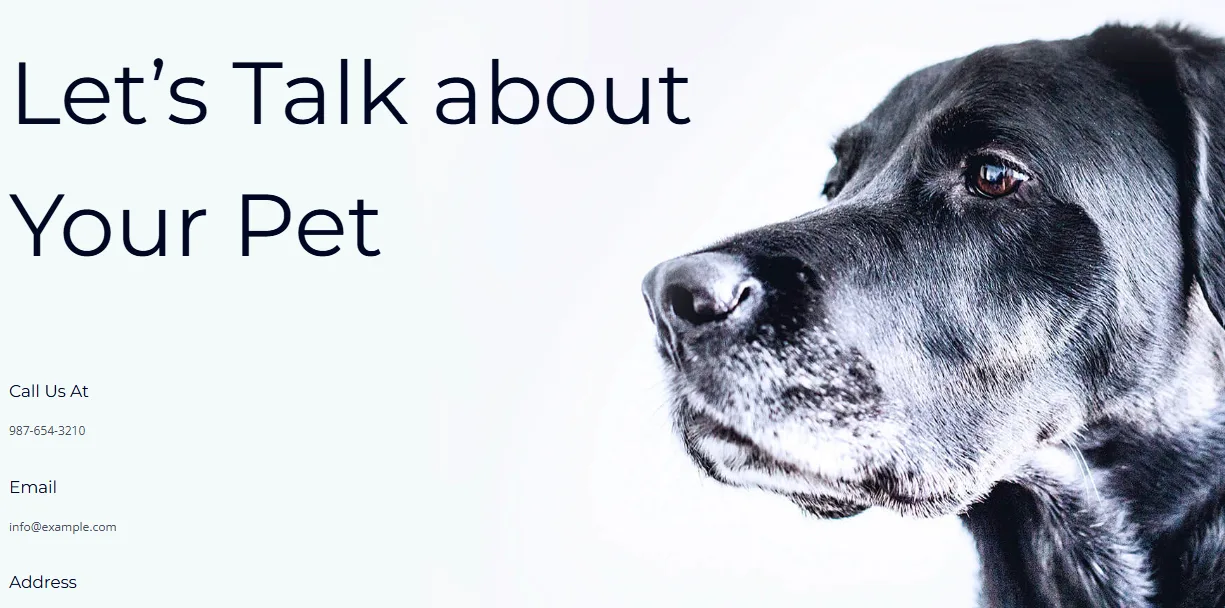 Busy Pets Let’s Talk about Your Pet contact section with a black dog