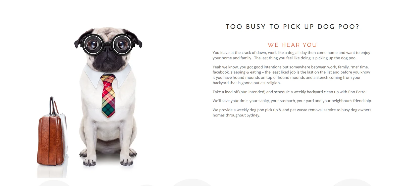 Poo Patrol Too Busy to Pick Up Dog Poo section with a pug in glasses
