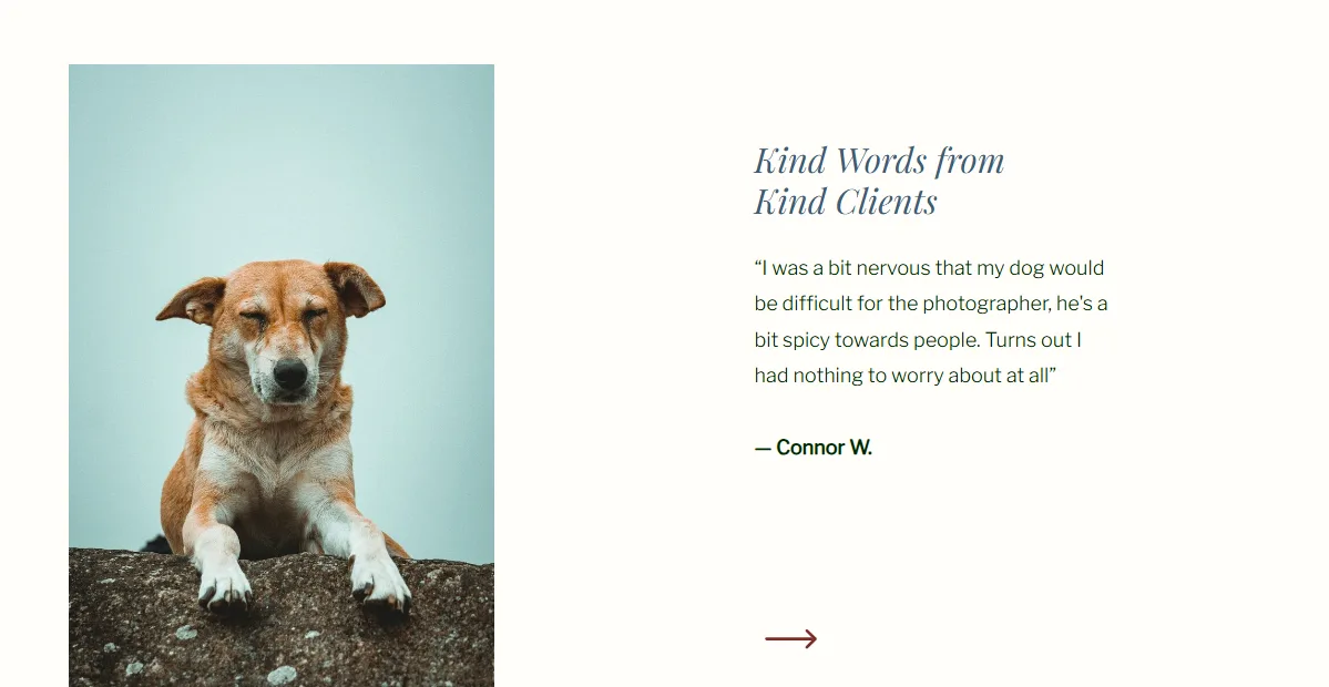 Pet photography Kind Words from Kind Clients testimonial with a dog portrait