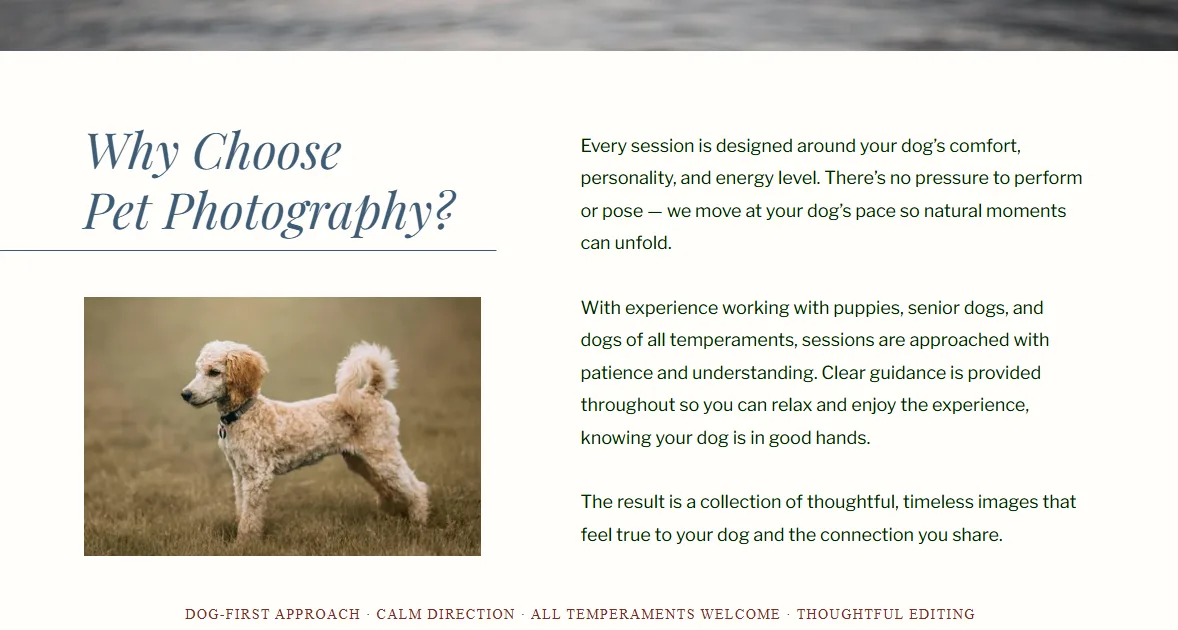 Why Choose Pet Photography section with a photo of a poodle