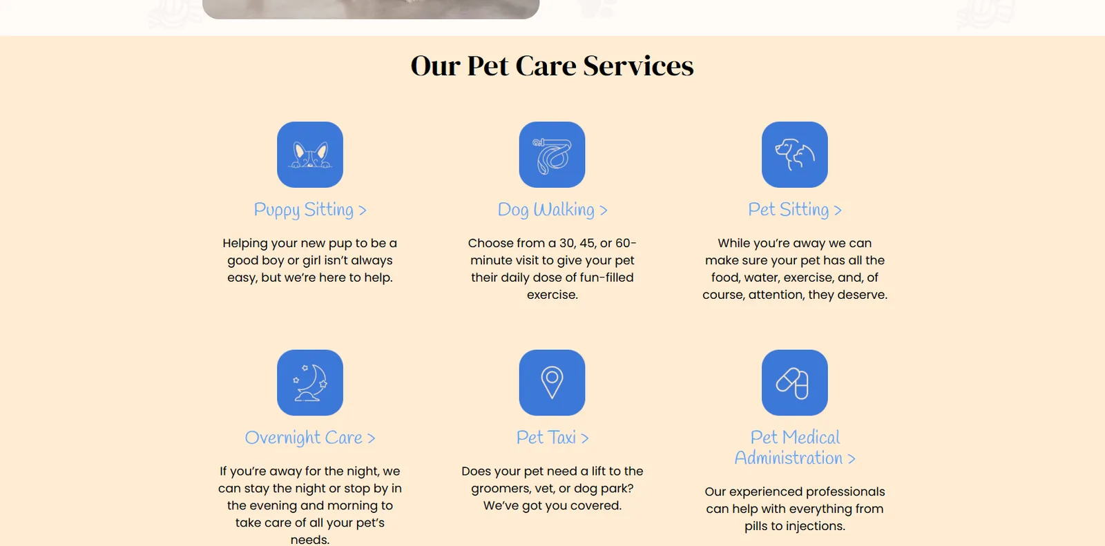 Fetch Our Pet Care Services icons for pet sitting, dog walking, overnight care and pet taxi