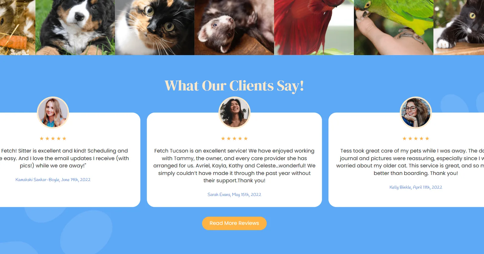 Fetch What Our Clients Say testimonial section with star ratings