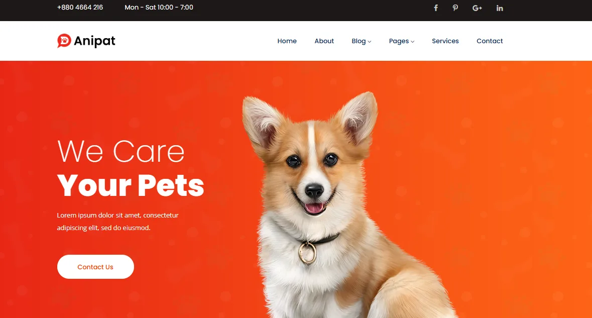 Anipat pet grooming homepage with a We Care Your Pets hero and a corgi