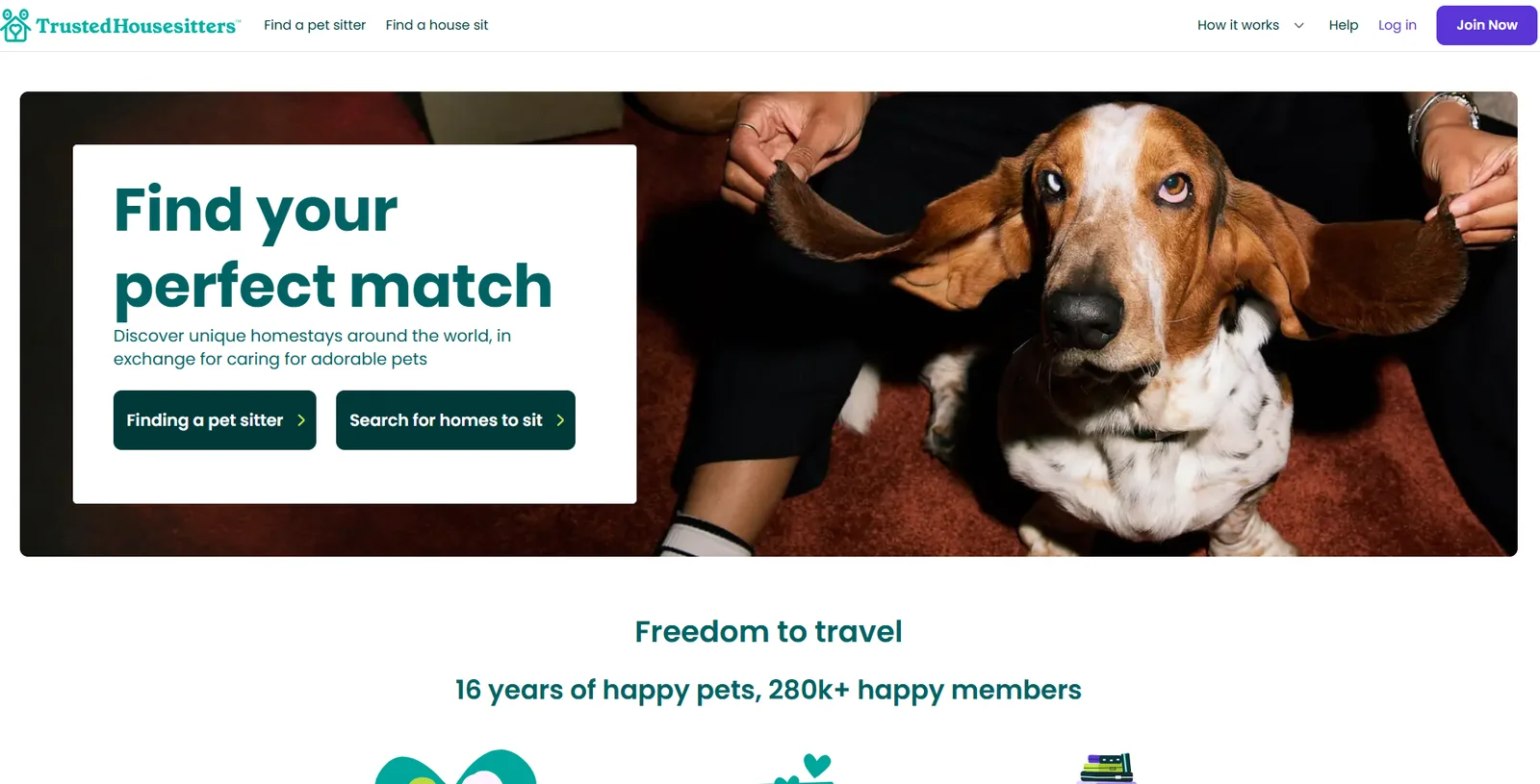 TrustedHousesitters homepage with a Find your perfect match hero and a basset hound