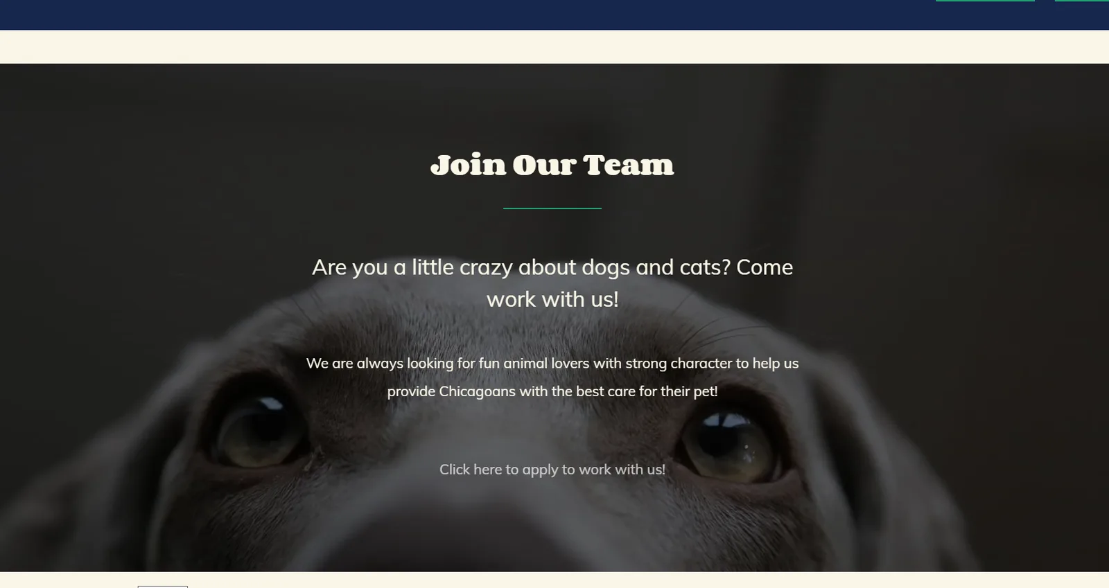 Chicago Pet Sitters Join Our Team careers section