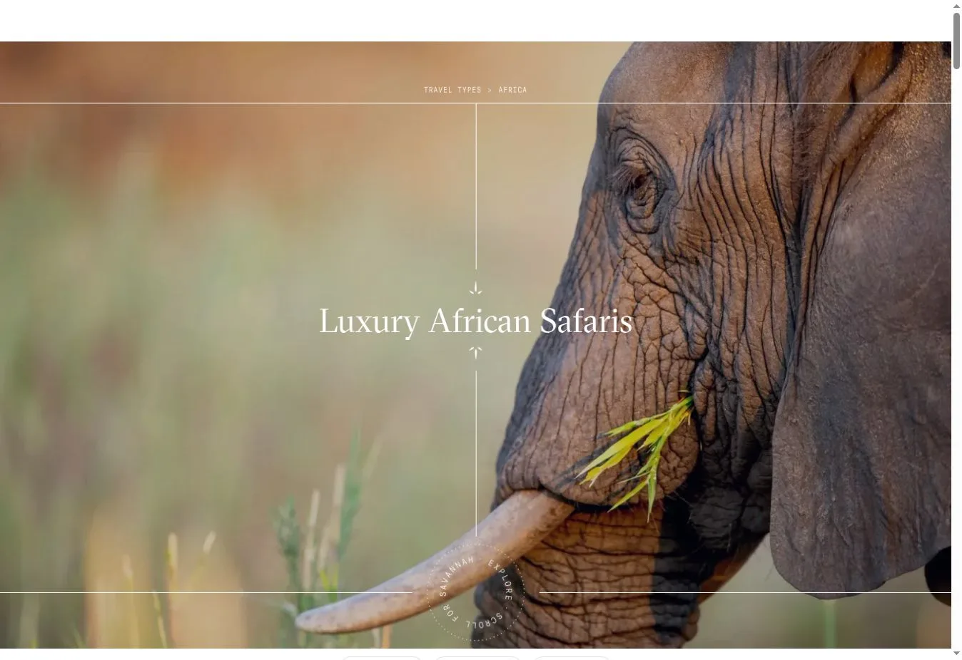 Nelson Travel Luxury African Safaris page with an elephant