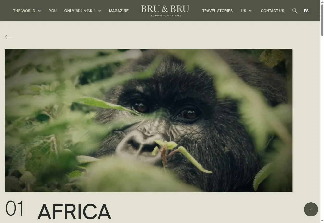 BRU&BRU Africa destination page with a gorilla photo