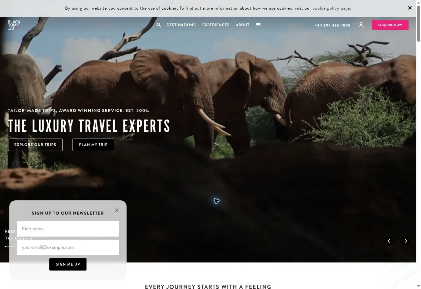 Black Tomato The Luxury Travel Experts page with elephants and a newsletter signup