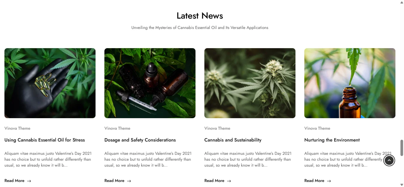 CBD website news section with image cards, article titles and read more links