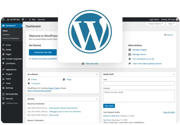 <p>Benefits of Hiring WordPress Developer</p>